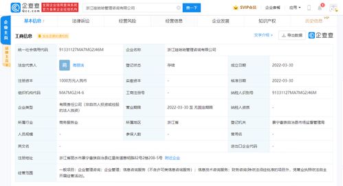 信息技術(shù)咨詢(xún)服務(wù) 賦能企業(yè)數(shù)字化轉(zhuǎn)型